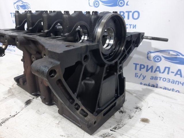 RENAULT 110104767R Блок цилиндров двигателя в наличии Харьков
