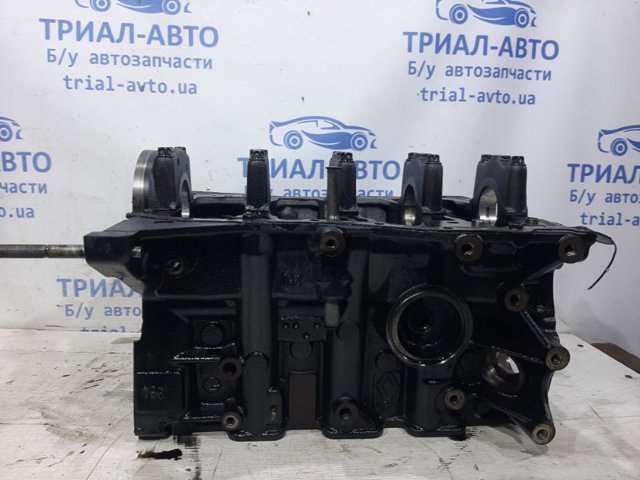 RENAULT 110104767R Блок цилиндров двигателя в наличии Кривой Рог