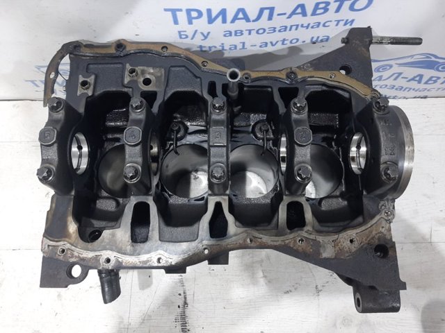 110104767R RENAULT Блок цилиндров двигателя купить в Кривой Рог