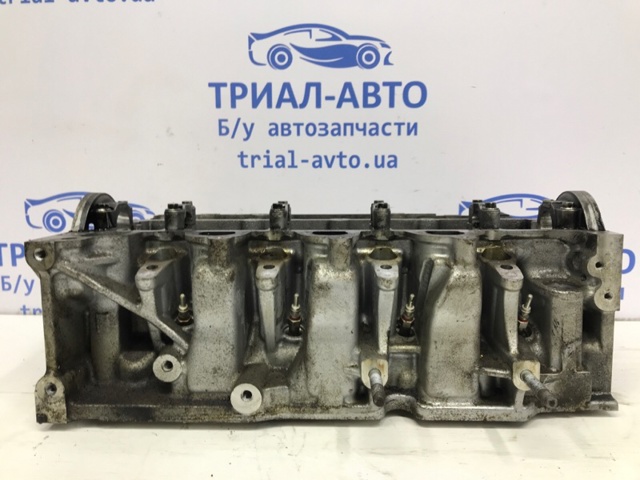 Головка блока цилиндров (ГБЦ) 110421615R NISSAN