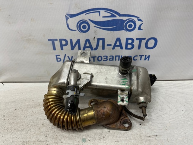 1473500QAN NISSAN Радиатор системы EGR купить в Черновцы
