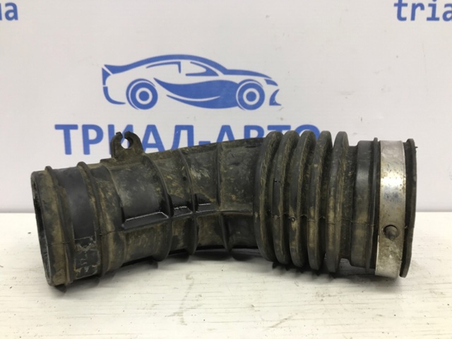NISSAN 165764ED0A в наличии Сумы