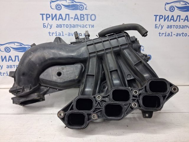 1710131010 TOYOTA Впускной коллектор купить в Днепр
