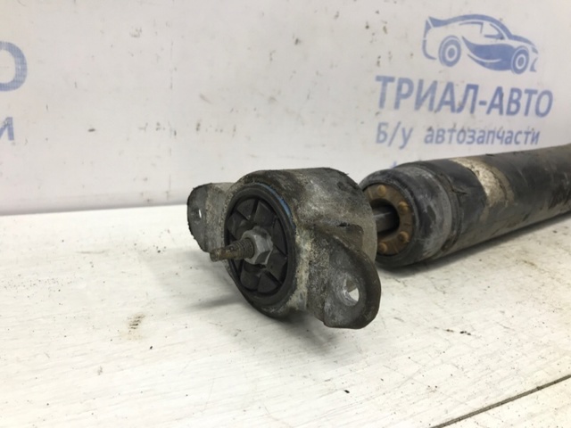 1805578 Амортизатор задний купить Ирпень