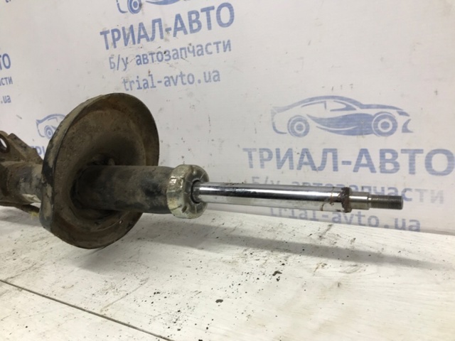 20310AL040 Амортизатор передний правый купить Черновцы