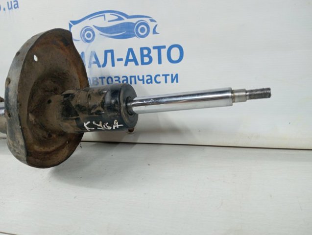 20310SG010 Амортизатор передний левый купить Житомир