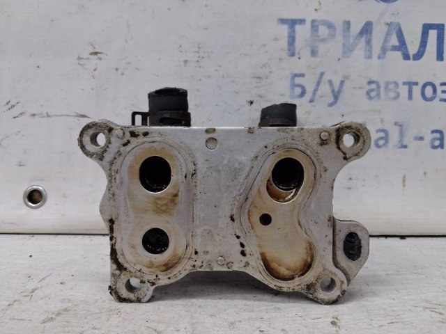 NISSAN 2130000Q0G Радиатор масляный в наличии Днепр