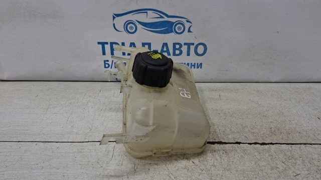 217100005R RENAULT Бачок системы охлаждения расширительный купить в Павлоград