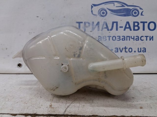 217114EA0A Бачок системы охлаждения расширительный купить Николаев