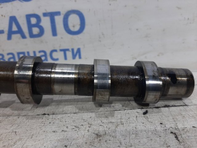 241102F310 HYUNDAI Впускной распредвал купить в Ужгород