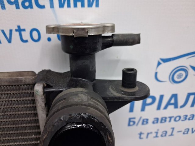 253102Y000 Радиатор охлаждения двигателя купить Полтава
