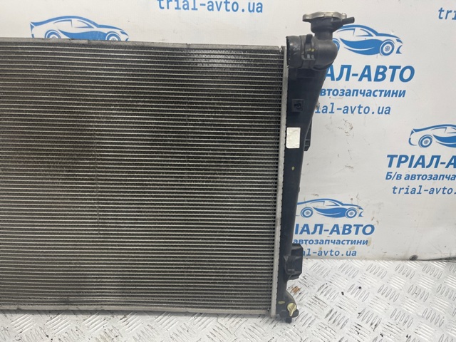 253103Q500 Радиатор охлаждения двигателя купить Полтава