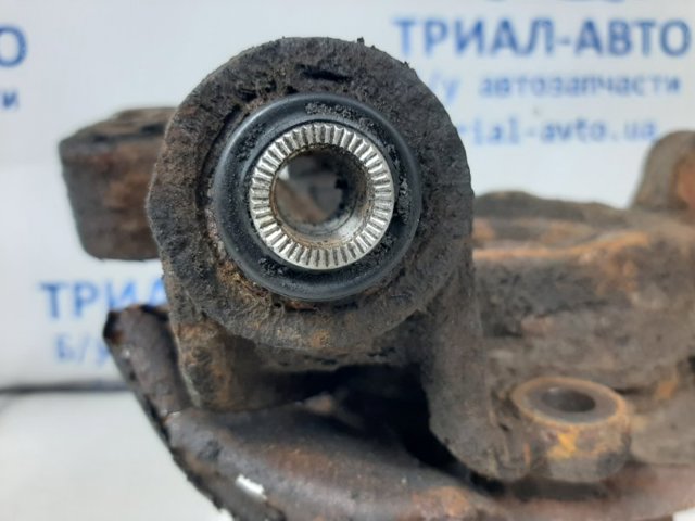 4230548031 TOYOTA Цапфа задняя левая купить в Запорожье