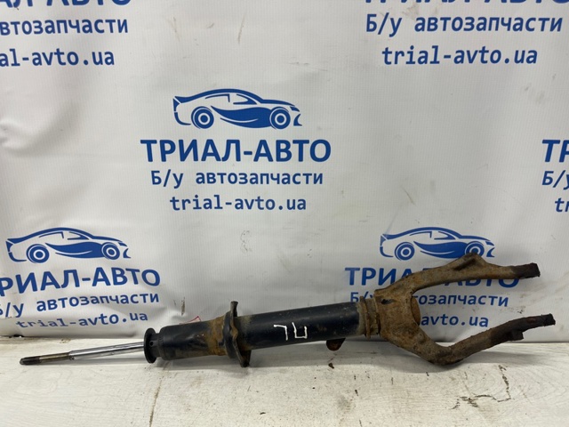51605SEAE03 Амортизатор передний купить Кривой Рог
