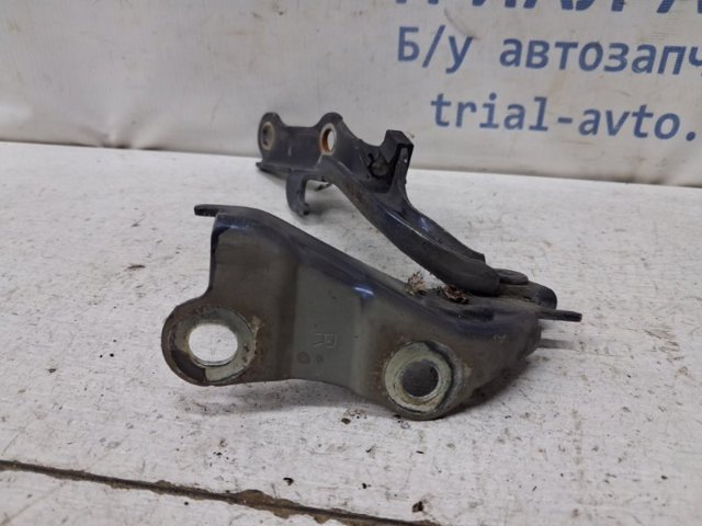 Завес капота, правый 5341035060 TOYOTA