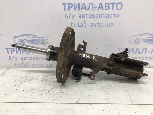 543020008R Амортизатор передний купить Черновцы