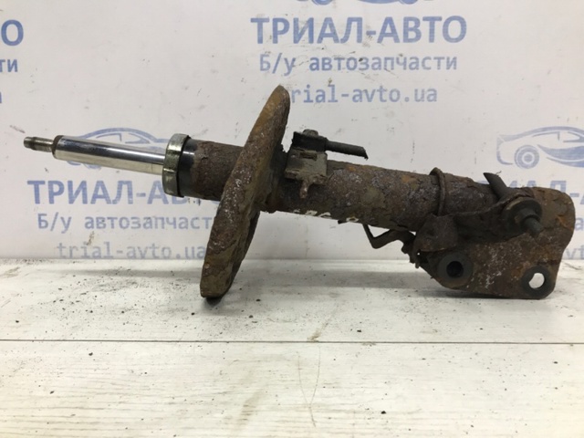 543020008R RENAULT Амортизатор передний купить в Ужгород