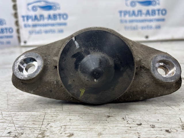 55311F1000 Амортизатор задний купить Украина