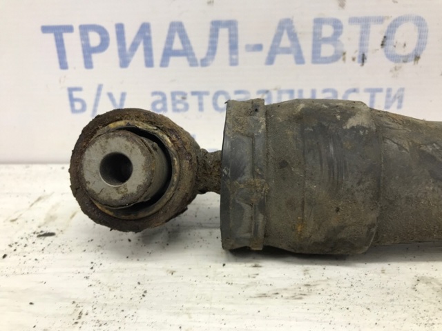 562108593R RENAULT Амортизатор задний купить в Черновцы