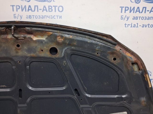 SUZUKI 5730080810 Капот в наличии Павлоград