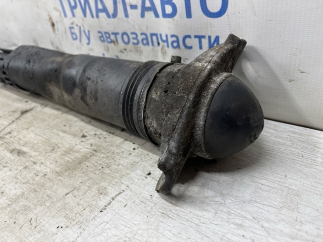 Задний амортизатор 5Q0513049FF VAG