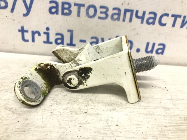 6481009002 Петля задней двери купить Одесса