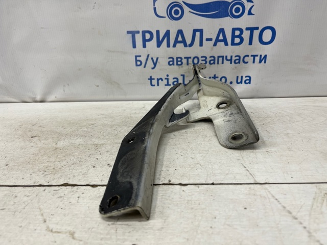 NISSAN 65401CG000 Петля капота левая в наличии Ирпень