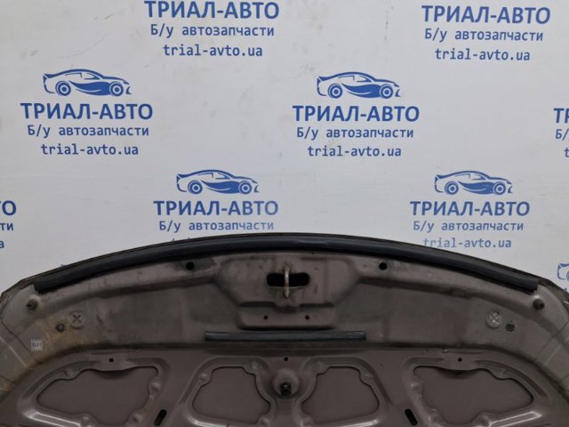 HYUNDAI 664001H200 Капот в наличии Украина