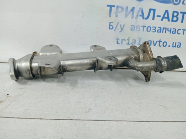 6641400561 SSANG YONG купить в Павлоград