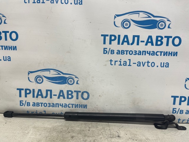 Амортизатор задней двери 68250004AC CHRYSLER