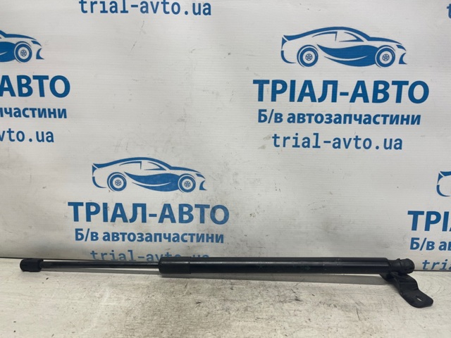 68250005AC Амортизатор багажника купить Николаев