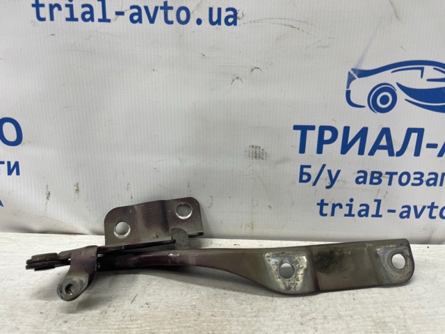 791102T000 HYUNDAI Петля капота левая купить в Ужгород