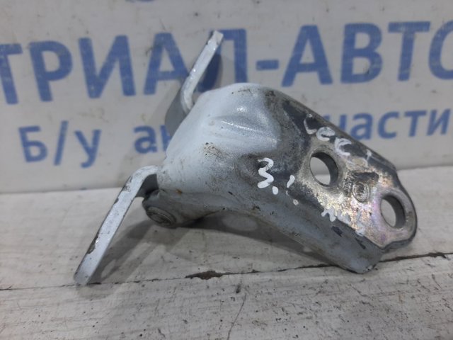 Петля двери задней левой 793102H000 HYUNDAI