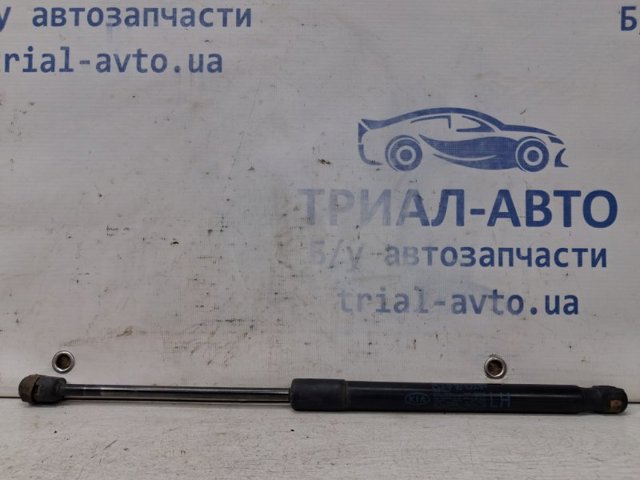 817701H010 HYUNDAI Амортизатор багажника купить в Ужгород