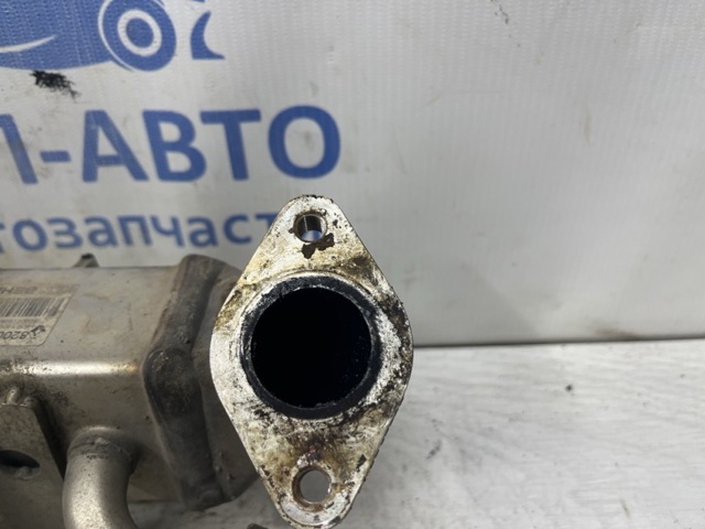 Радиатор системы рециркуляции ОГ 8200719993 RENAULT