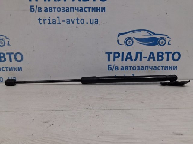 Амортизатор задней двери 844300009R RENAULT