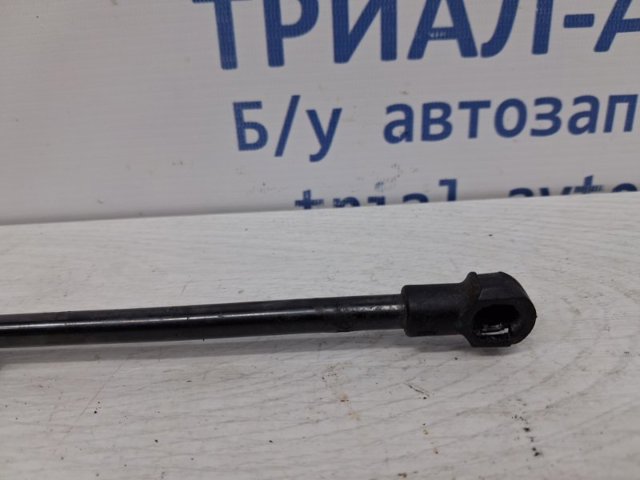 844304GA0A NISSAN Амортизатор крышки багажника (двери 3/5-й задней) купить в Украина