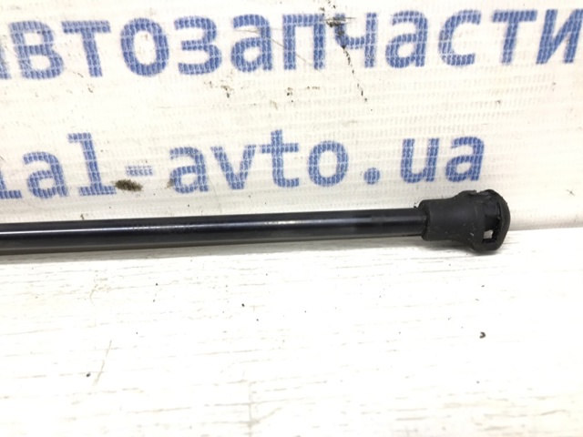 904500004R RENAULT Амортизатор багажника купить в Ужгород