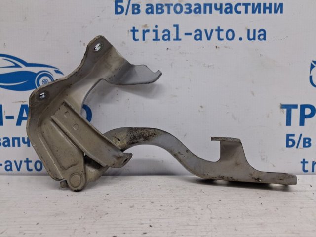 Завес капота, левый 95049936 GM
