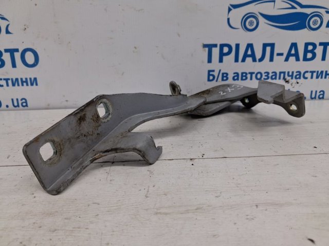 Завес капота, правый 95049937 GM