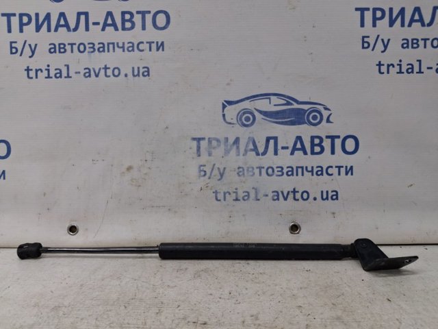 Амортизатор под капот 95494362 GM