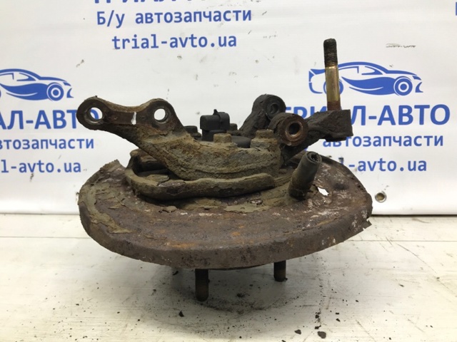 96407221 GM Цапфа (поворотный кулак) задний правый купить в Хмельницкий