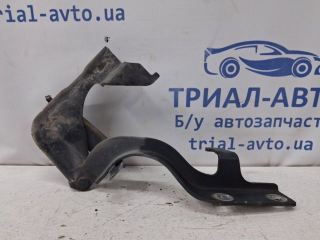 Петля капота, правая 96624417 GM