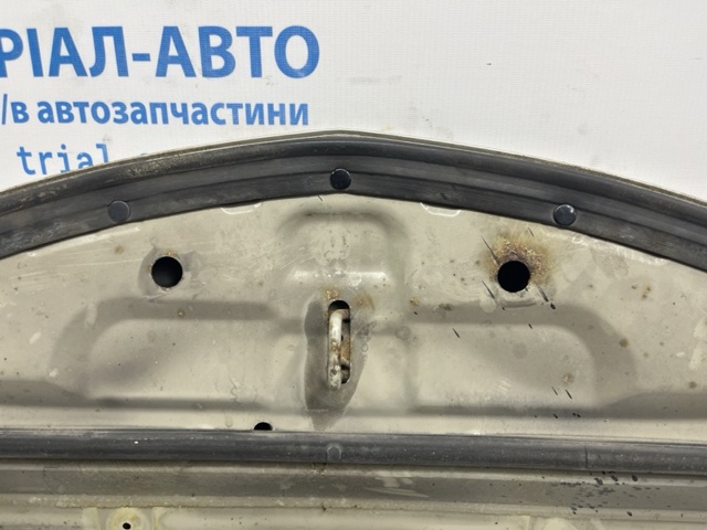 BNYV5231XB Капот купить Одесса