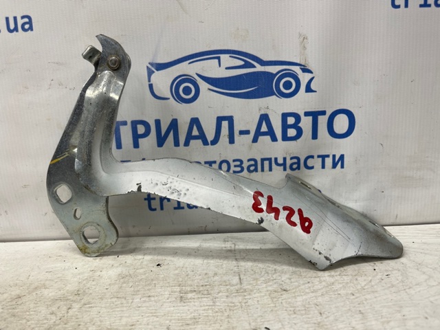 Завеса капота правая DS7Z16796A FORD
