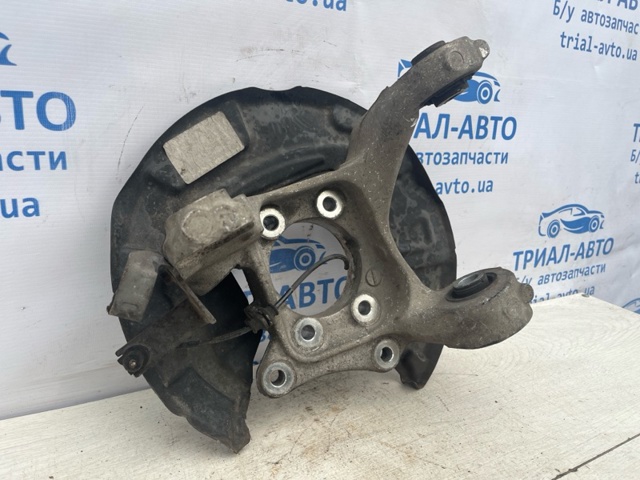 E1GZ5B759B FORD Цапфа задняя левая купить в Львов