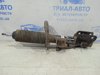 Амортизаторная стойка передняя правая Ниссан Жук NMUK