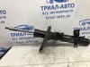 Стойка передняя, правая E43024CB1D NISSAN