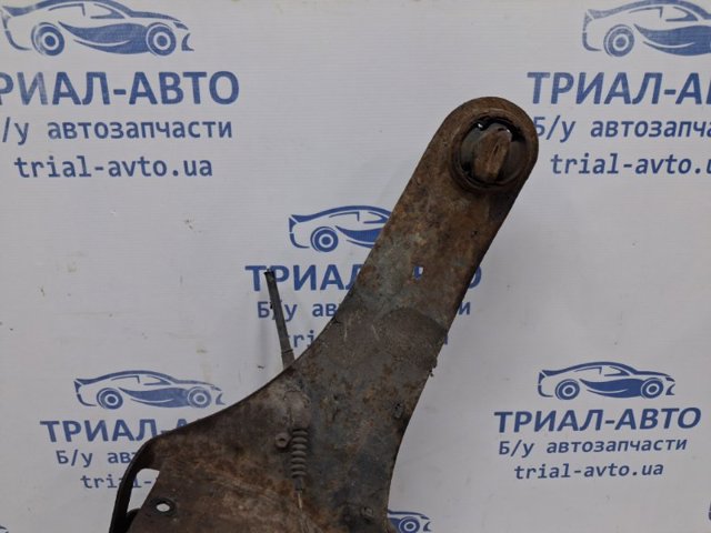 EG2528250B Цапфа (поворотный кулак) задний левый купить Днепр