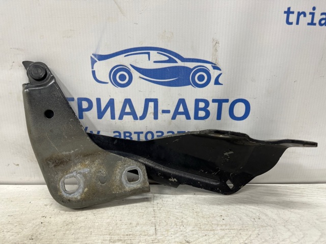 Завеса капота левая FT4Z16797A FORD
